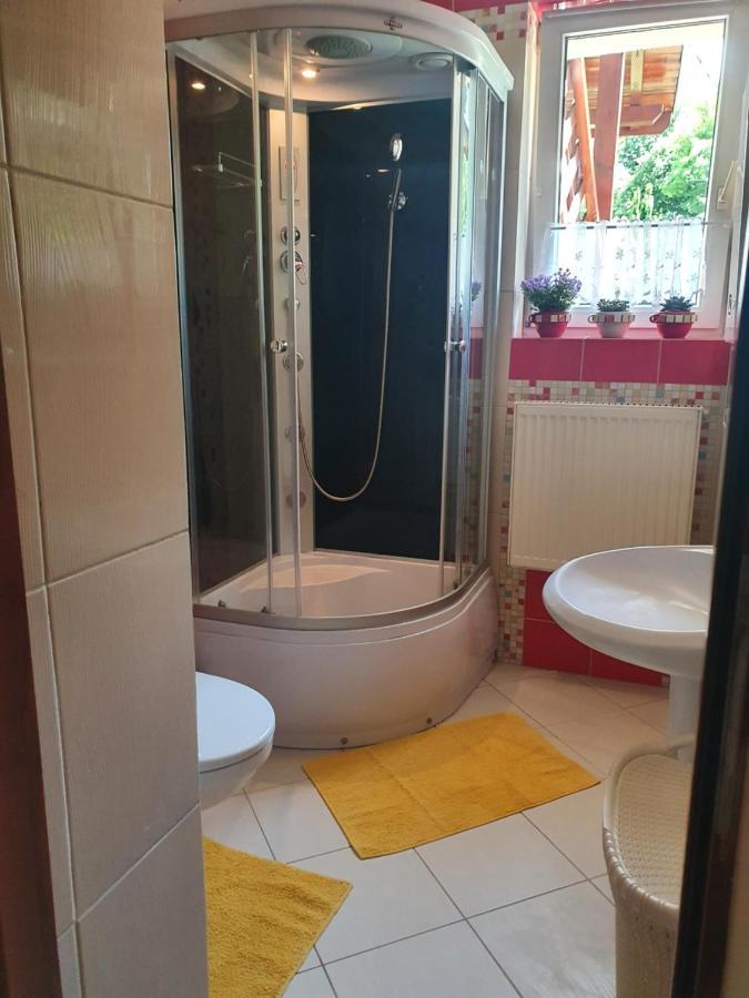 Przytulny Apartament-Cosy And Beautiful Zywiec Bagian luar foto
